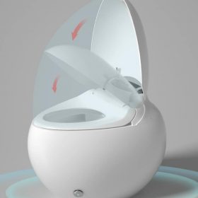 292275375 203520518665517 422504736141844503 N